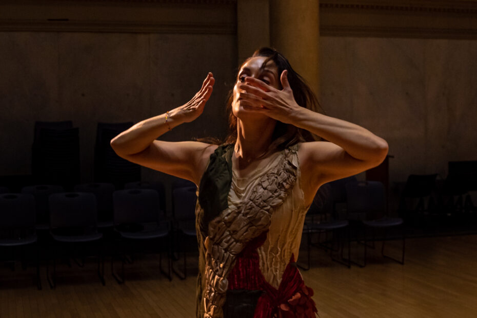 PortalAndreu Sandra_ Terra Firma